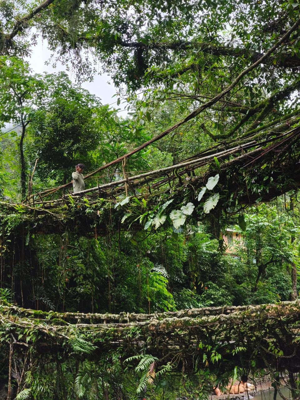 Pleasant Shillong Honeymoon Tour